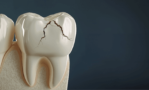 Xray and diagnostic services